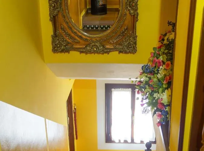 Guest house Miguel Angel 3*